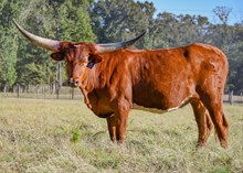 SF Delightful Memory